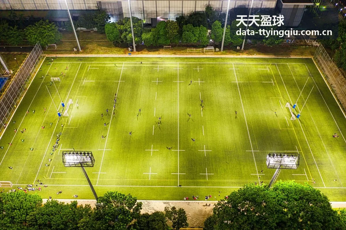 天天盈球玩法攻略中的球队状态观察方法
